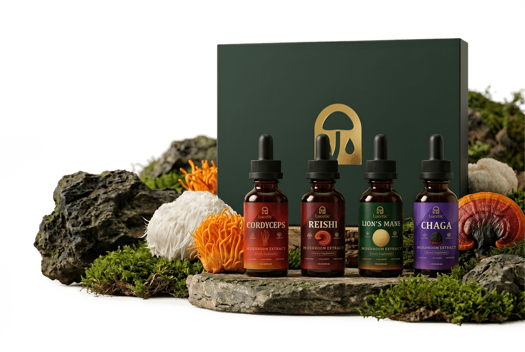 Lucetic mushroom extract combo box with fresh functional mushrooms