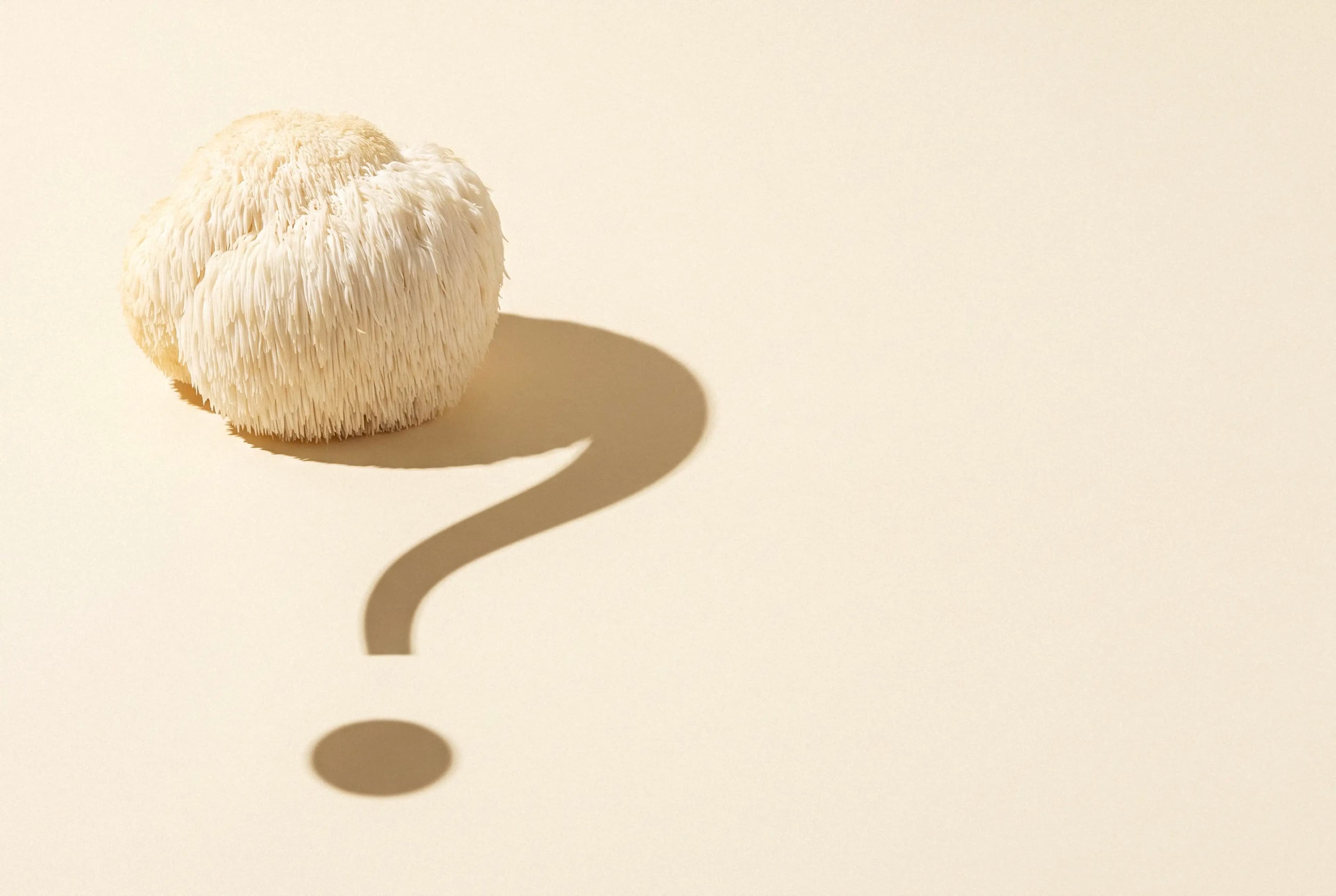 Lion’s Mane for Memory: Does It Work?