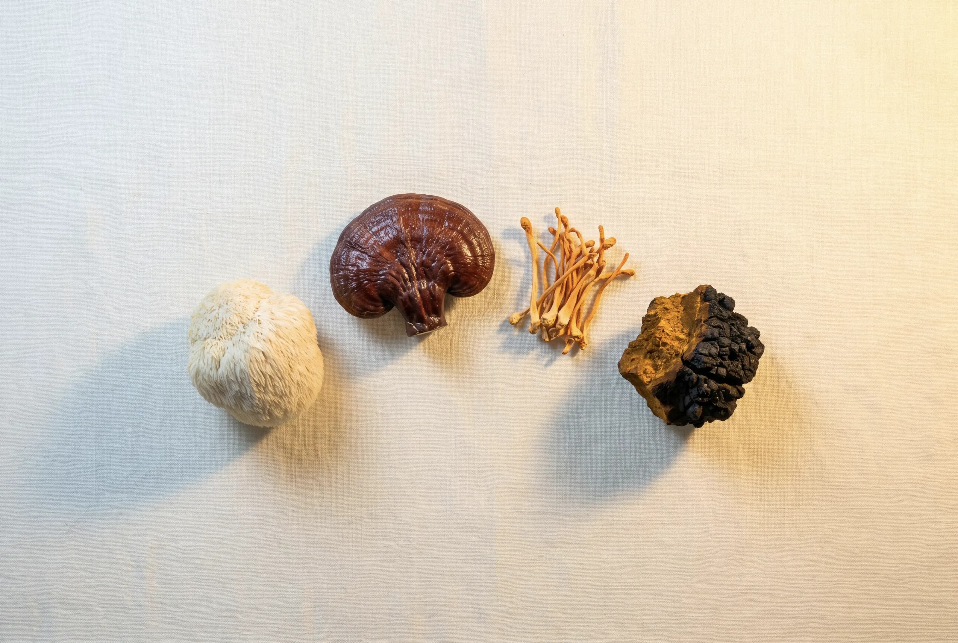 What Are Adaptogenic Mushrooms?