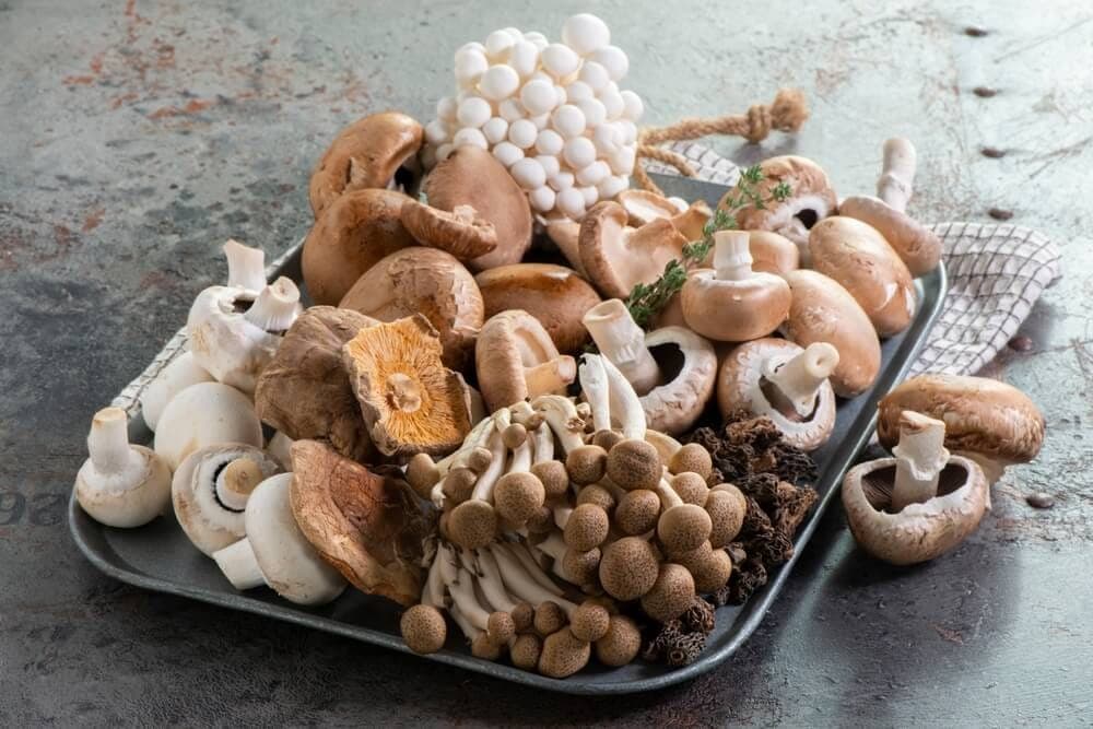 What Are Functional Mushrooms? A Simple Guide to Benefits and Uses