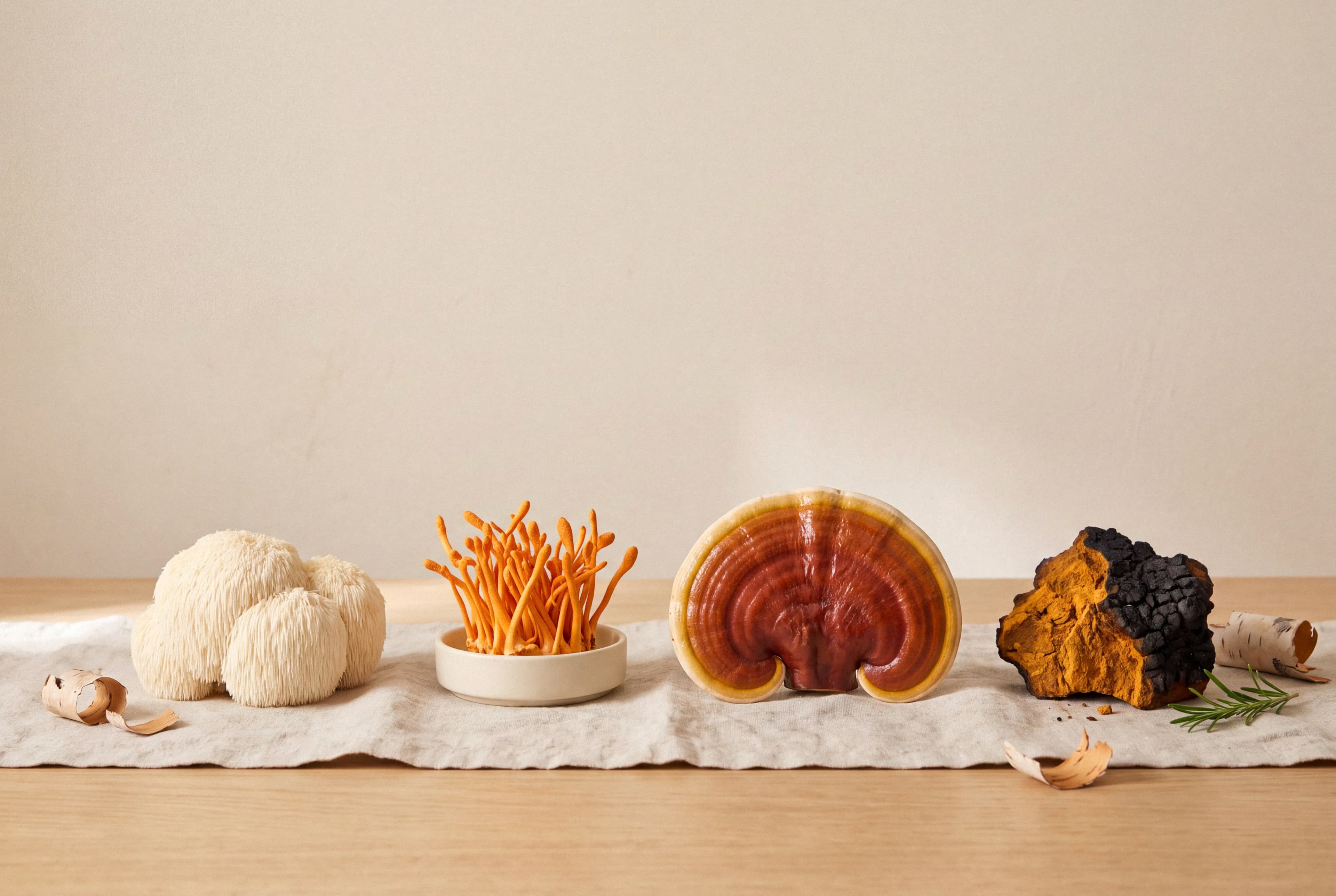 Which Functional Mushroom Should You Start With?