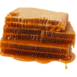 Honeycomb slices dripping with wildflower honey