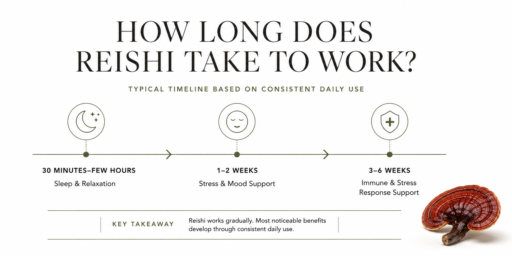 Reishi timeline with consistent daily use: sleep and relaxation within 30 minutes to a few hours, stress and mood support in 1–2 weeks, immune and stress response support in 3–6 weeks
