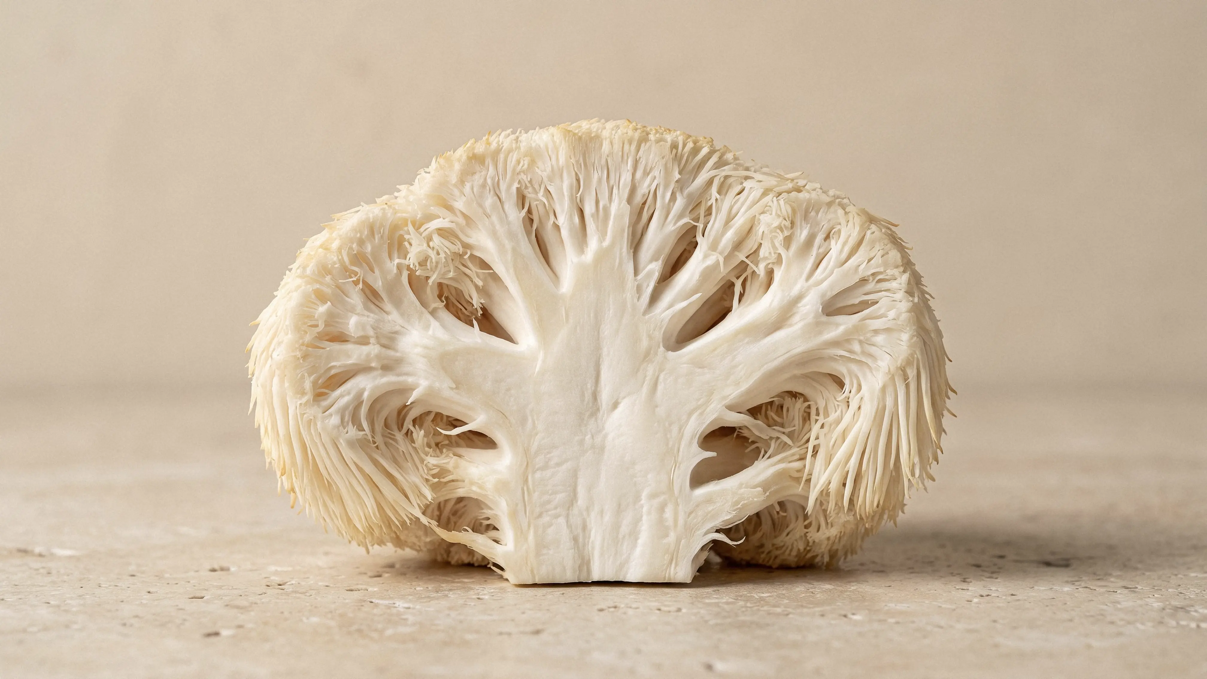 lion's mane mushroom sliced in half