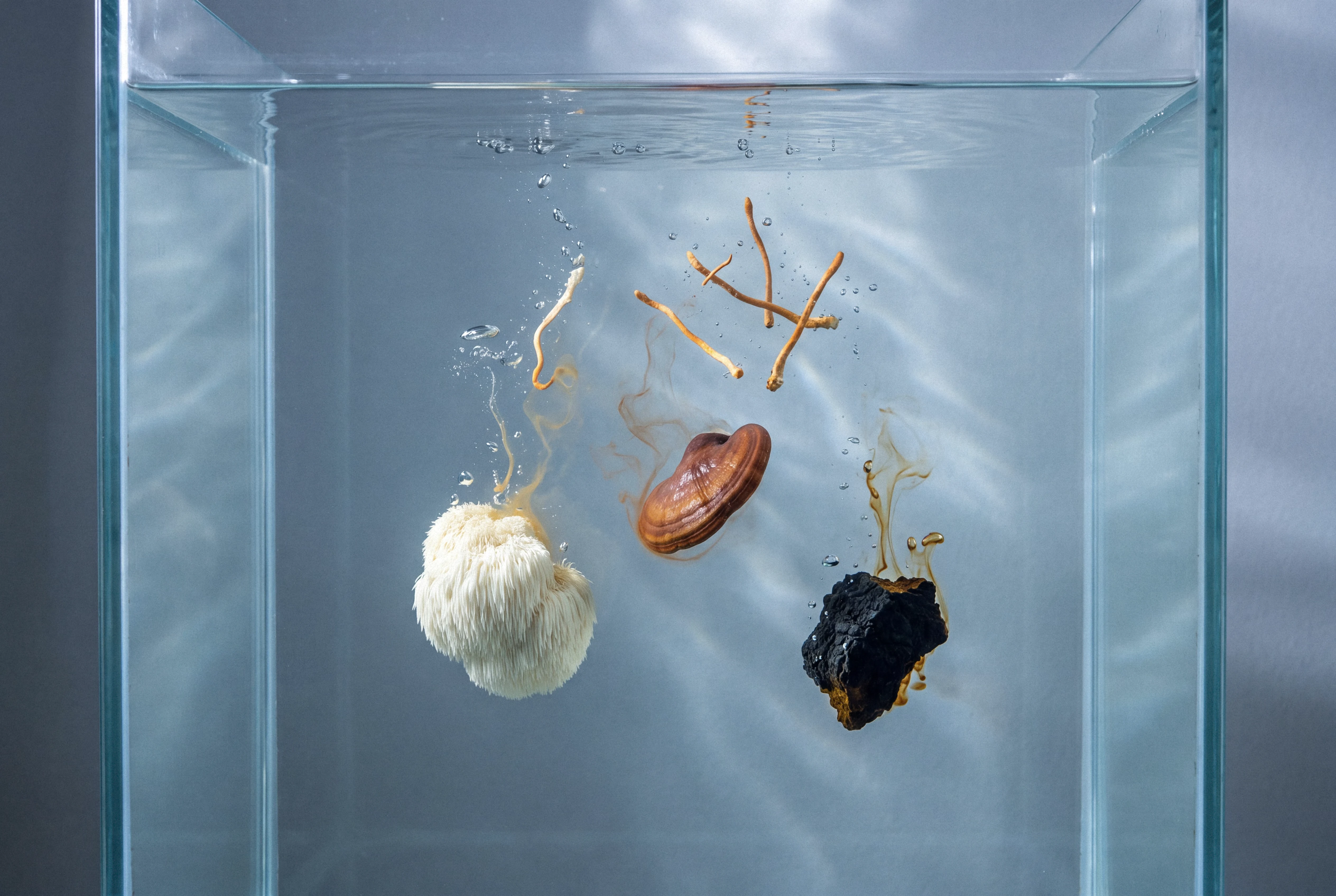 Mushroom Specimens submerged in water releasing amber liquid