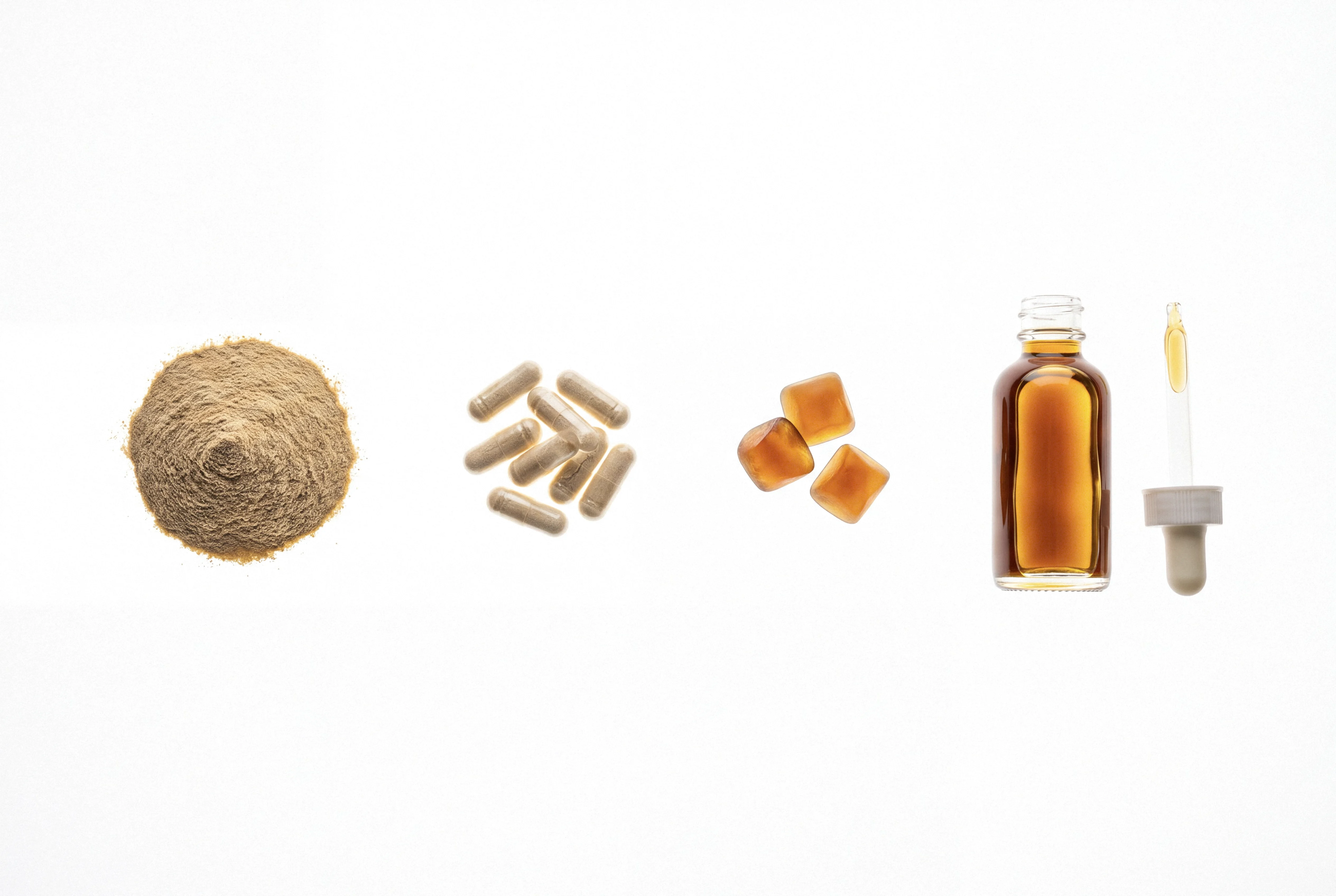 Mushroom supplement formats: powder, capsules, gummies, and tincture bottle