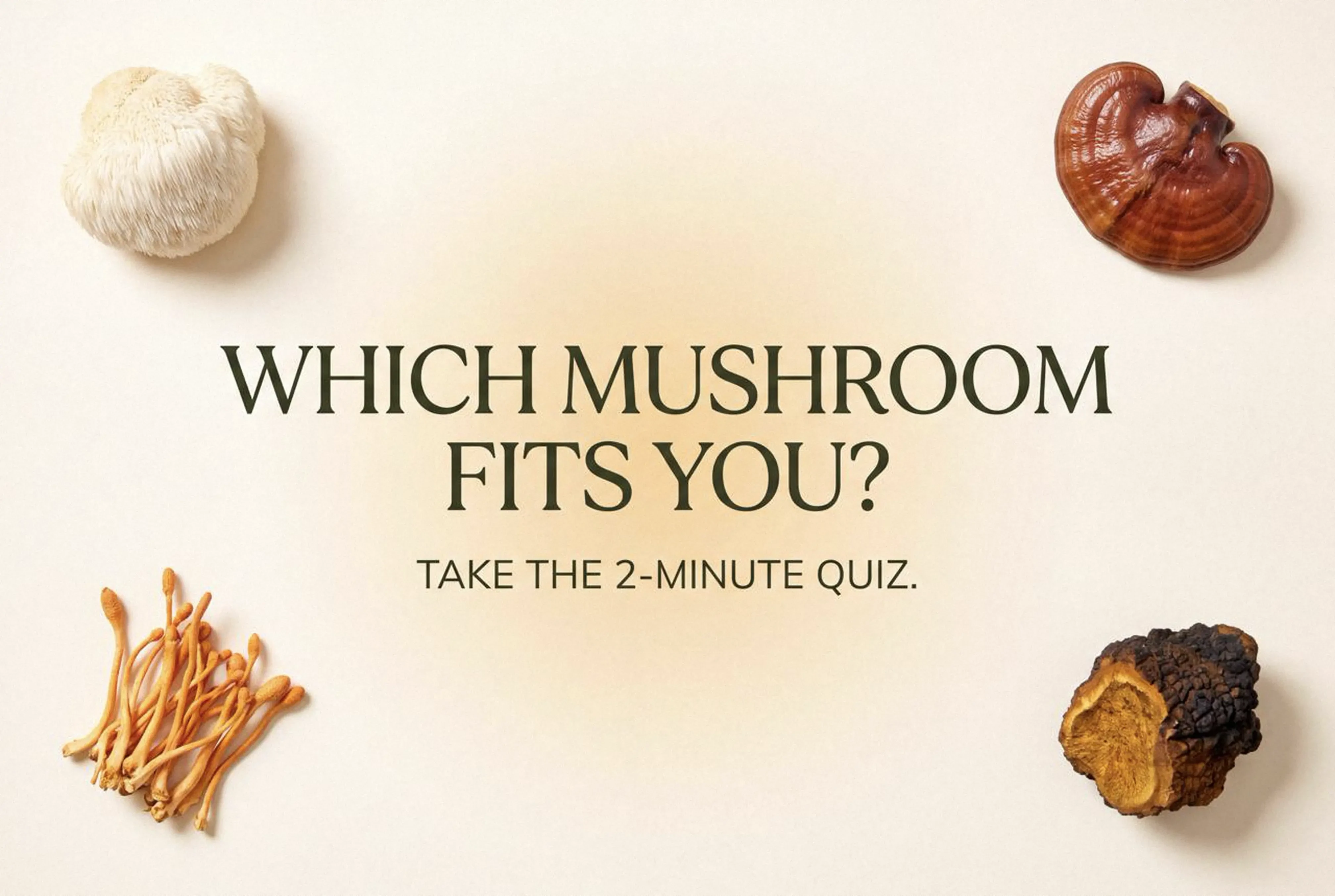 Mushroom Quiz - Which Fits You Banner