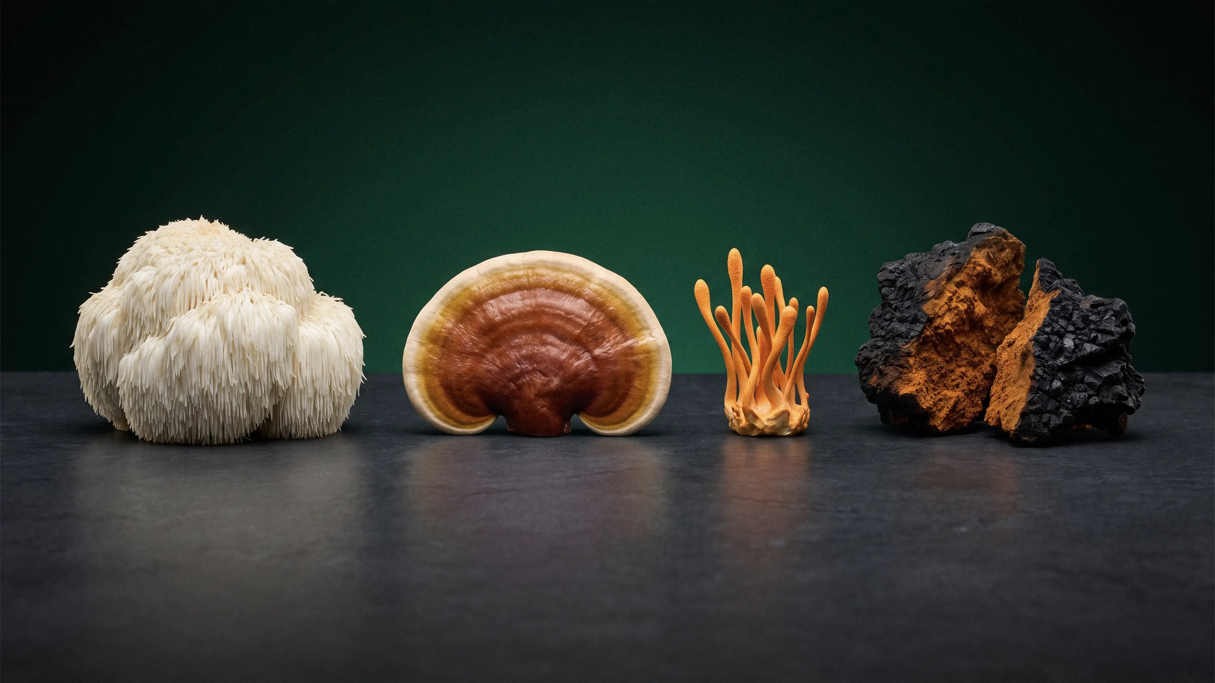 Side-by-side comparison of lion's mane,reishi,cordyceps, and chaga mushrooms